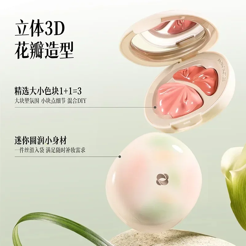 オリジナルNONONOTESツートンブラッシュペーストパレッ - Beauty Makeup Palette のレビューと価格