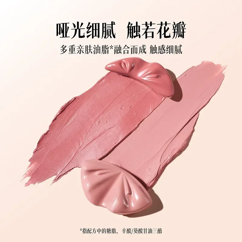 オリジナルNONONOTESツートンブラッシュペーストパレッ - Beauty Makeup Palette のレビューと価格